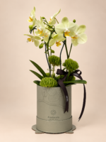arranjo de orquídeas arquitetura das flores