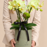 arranjo de orquídeas em caixa verde sálvia (1)
