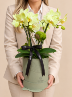 arranjo de orquídeas em caixa verde sálvia (1)