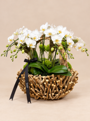 arranjo de orquídeas em cesta rústica