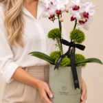 arranjo de orquídeas em destaque