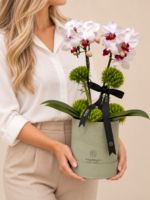 arranjo de orquídeas em destaque