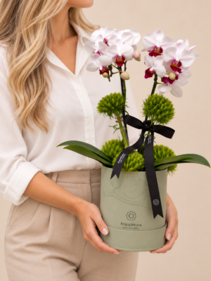 arranjo de orquídeas em destaque