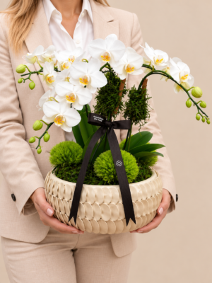 arranjo de orquídeas em traje elegante