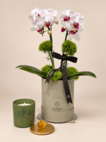 arranjo luxuoso de orquídeas em tons naturais