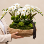 mini orquídeas brancas em arranjo elegante