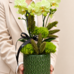 mini orquídeas em vaso verde