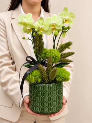 mini orquídeas em vaso verde