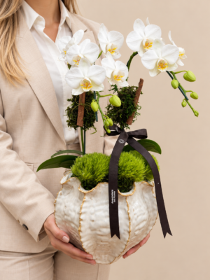 orquídea branca em vaso escultural