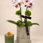 orquídeas arquitetura das flores