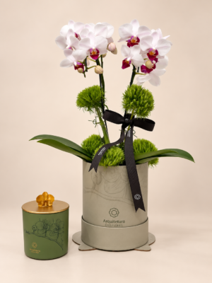orquídeas arquitetura das flores
