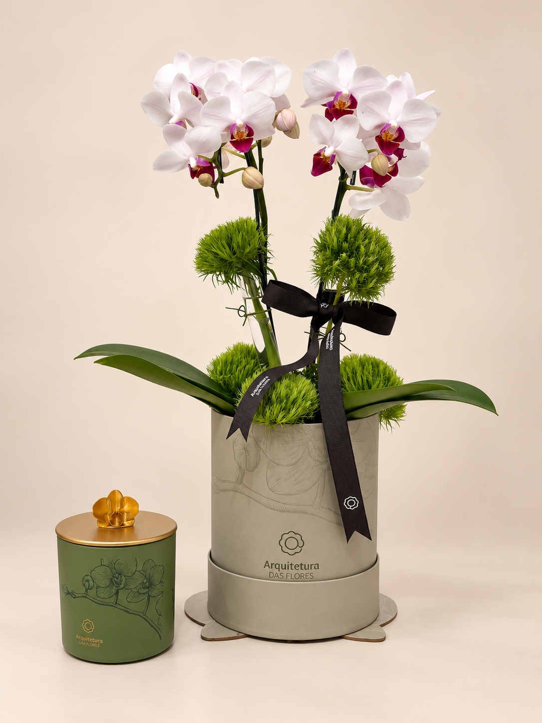 orquídeas arquitetura das flores orquídeas arquitetura das flores