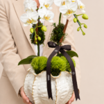 orquídeas brancas em vaso escultural