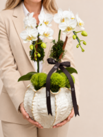 orquídeas brancas em vaso escultural