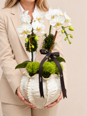 orquídeas brancas em vaso escultural