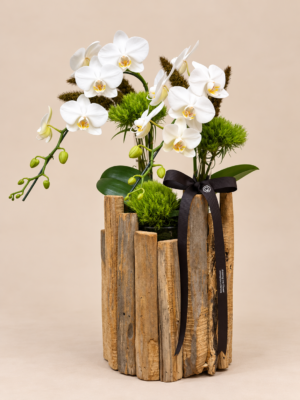 orquídeas brancas em vaso rústico de madeira