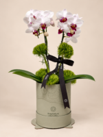 orquídeas em caixa de luxo (4)