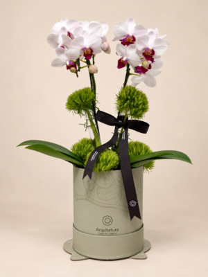 orquídeas em caixa de luxo (4)