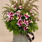 orquídeas em hatbox arquitetura das flores