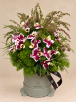 orquídeas em hatbox arquitetura das flores