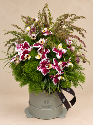 orquídeas em hatbox arquitetura das flores