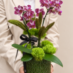 orquídeas moinhos de vento porto alegre