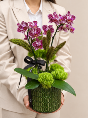orquídeas moinhos de vento porto alegre