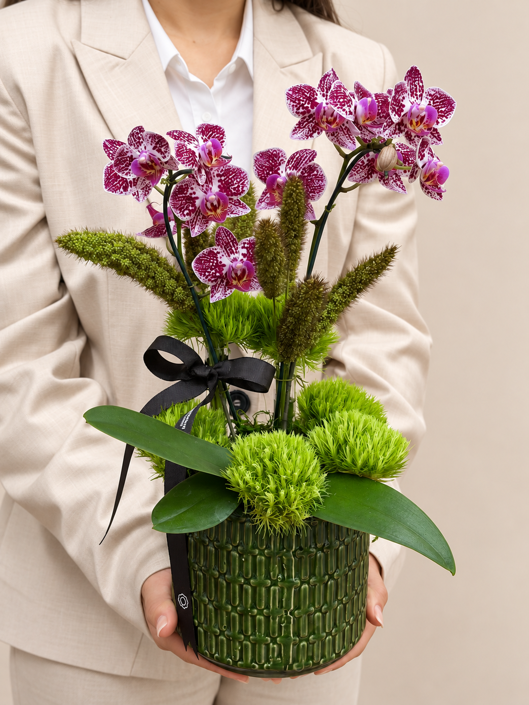 orquídeas moinhos de vento porto alegre orquídeas moinhos de vento porto alegre
