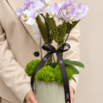 orquídeas para presente