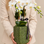 retrato floral com orquídeas brancas